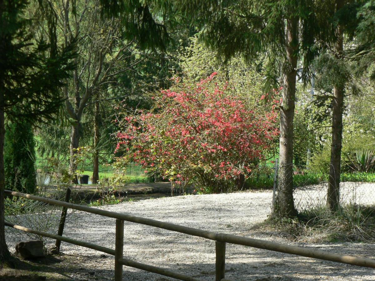 Отель Etangs Du Moulin Suzy Номер фото